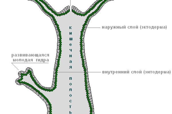 Ссылка кракен магазин